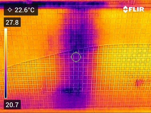 FLIR1250